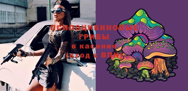 гидра Абдулино