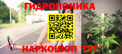 дурь Северобайкальск
