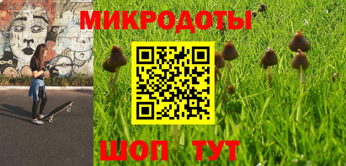 Псилоцибиновые грибы Psilocybine cubensis Благовещенск