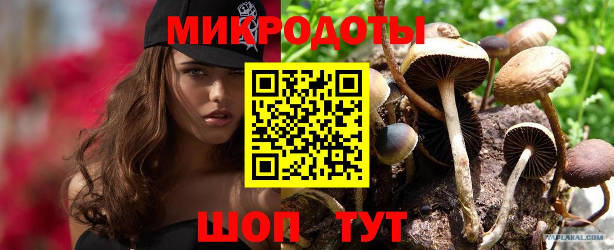 Благовещенск  Псилоцибиновые грибы Psilocybine cubensis  где купить наркоту  Вход с VPN 